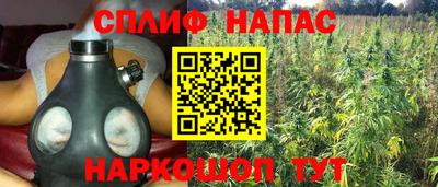 бошки Партизанск