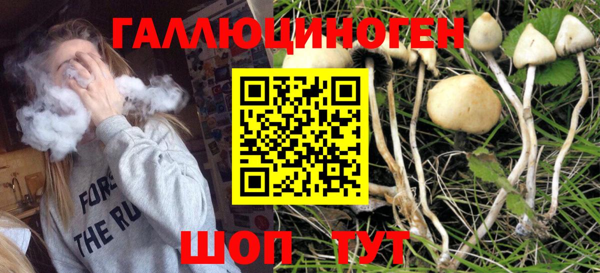 Псилоцибиновые грибы прущие грибы Волгоград
