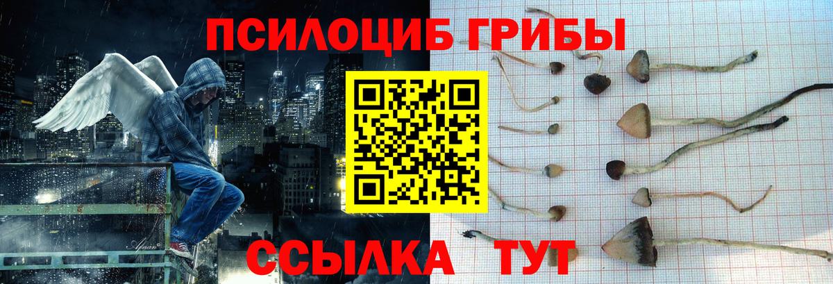 Псилоцибиновые грибы ЛСД  Вход с VPN  Волгоград 